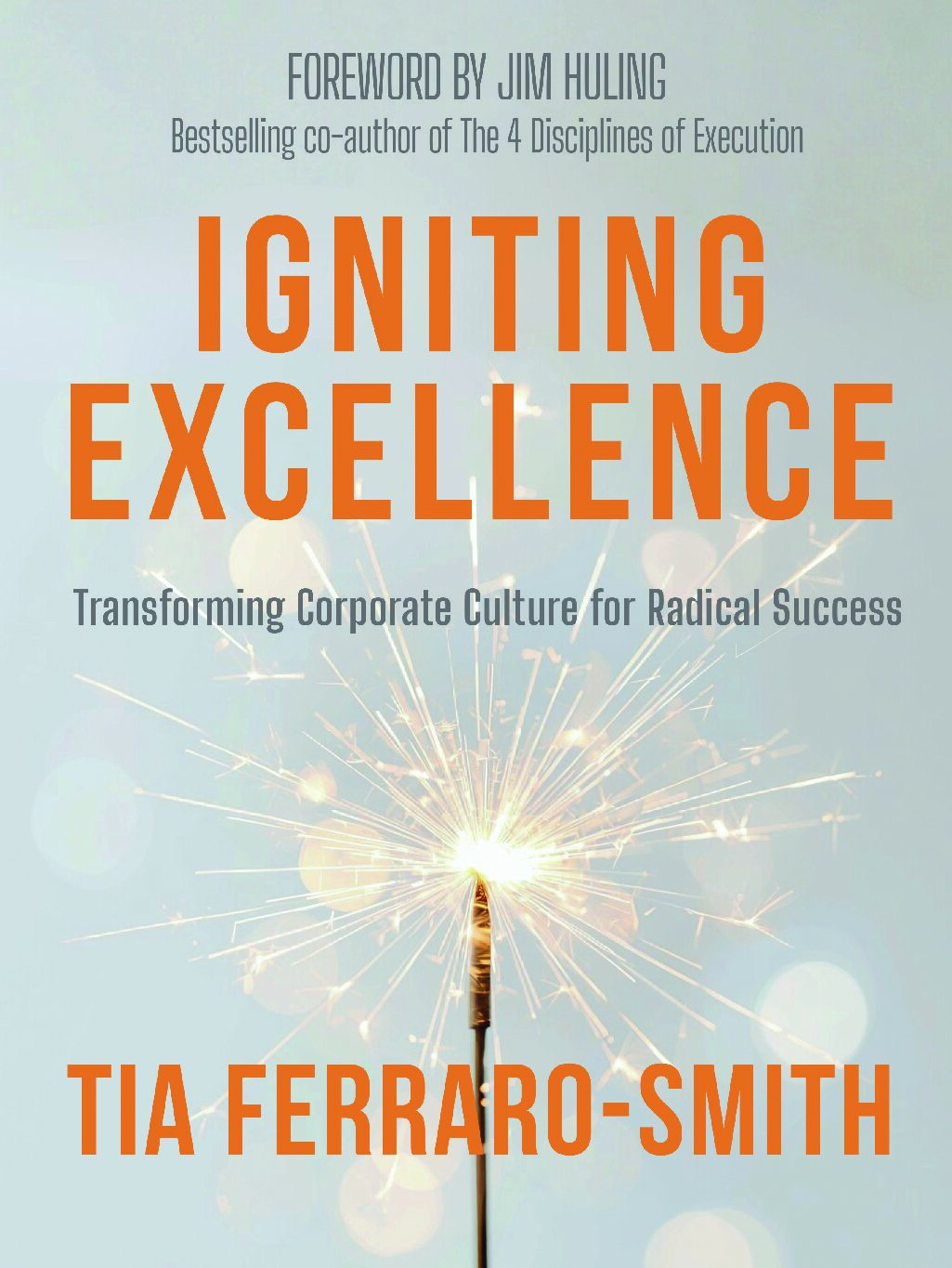 Book Cover_Igniting Excellence_FINAL